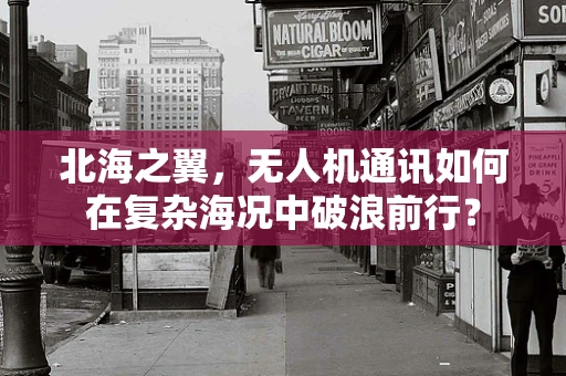 北海之翼，无人机通讯如何在复杂海况中破浪前行？