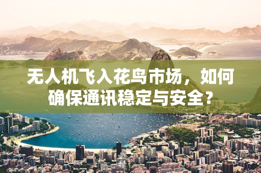 无人机飞入花鸟市场，如何确保通讯稳定与安全？