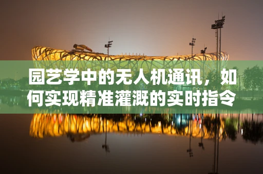 园艺学中的无人机通讯，如何实现精准灌溉的实时指令传输？