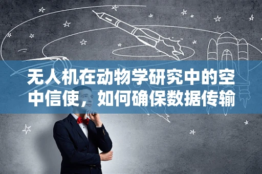 无人机在动物学研究中的空中信使，如何确保数据传输的准确性与隐私性？