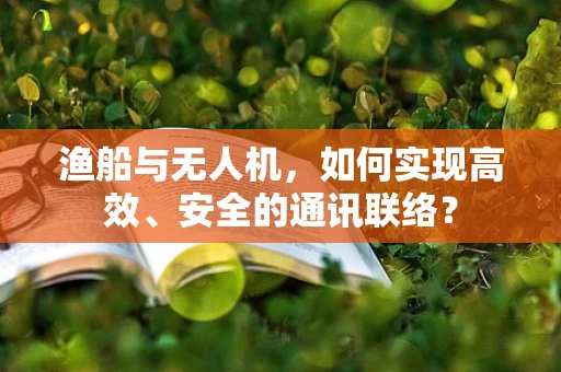 渔船与无人机，如何实现高效、安全的通讯联络？