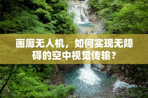 画廊无人机，如何实现无障碍的空中视觉传输？
