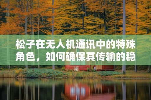 松子在无人机通讯中的特殊角色，如何确保其传输的稳定与安全？