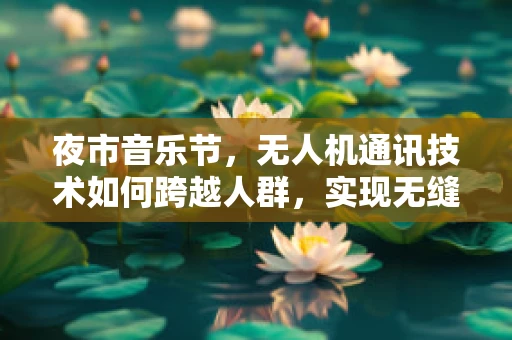 夜市音乐节，无人机通讯技术如何跨越人群，实现无缝音乐共享？