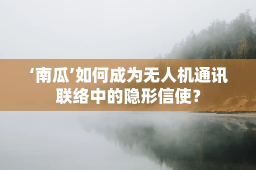 ‘南瓜’如何成为无人机通讯联络中的隐形信使？