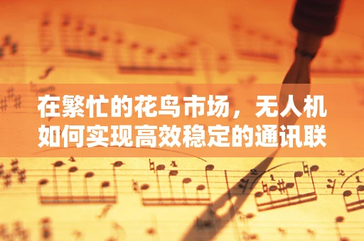 在繁忙的花鸟市场，无人机如何实现高效稳定的通讯联络？
