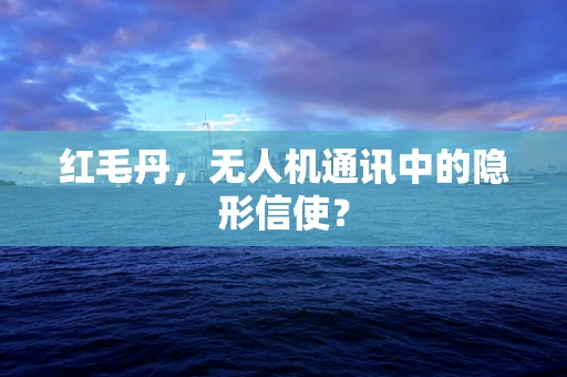 红毛丹，无人机通讯中的隐形信使？
