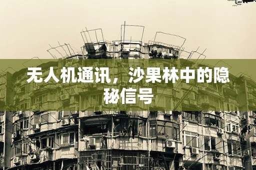 无人机通讯，沙果林中的隐秘信号