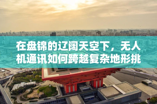 在盘锦的辽阔天空下，无人机通讯如何跨越复杂地形挑战？