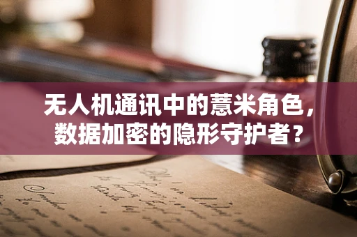 无人机通讯中的薏米角色，数据加密的隐形守护者？
