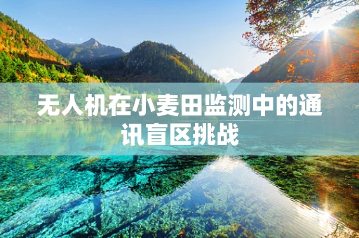 无人机在小麦田监测中的通讯盲区挑战