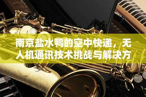 南京盐水鸭的空中快递，无人机通讯技术挑战与解决方案