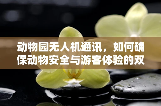 动物园无人机通讯，如何确保动物安全与游客体验的双重保障？