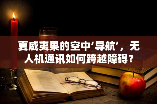 夏威夷果的空中‘导航’，无人机通讯如何跨越障碍？