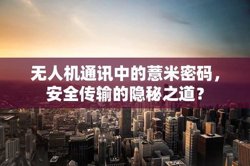 无人机通讯中的薏米密码，安全传输的隐秘之道？