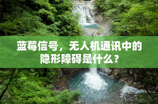 蓝莓信号，无人机通讯中的隐形障碍是什么？