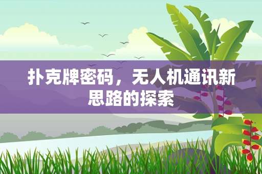 扑克牌密码，无人机通讯新思路的探索