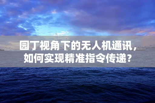 园丁视角下的无人机通讯，如何实现精准指令传递？