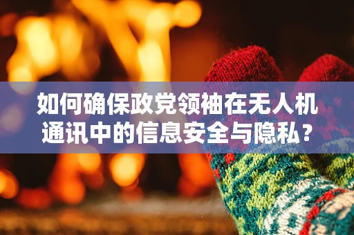 如何确保政党领袖在无人机通讯中的信息安全与隐私？