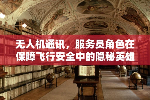 无人机通讯，服务员角色在保障飞行安全中的隐秘英雄
