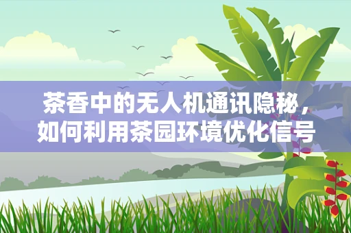 茶香中的无人机通讯隐秘，如何利用茶园环境优化信号传输？
