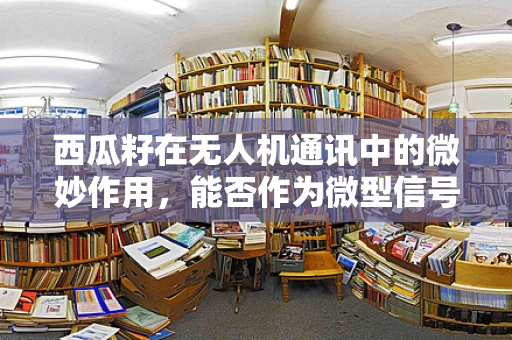 西瓜籽在无人机通讯中的微妙作用，能否作为微型信号增强器？