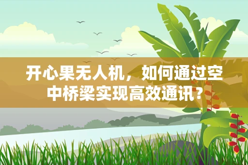 开心果无人机，如何通过空中桥梁实现高效通讯？