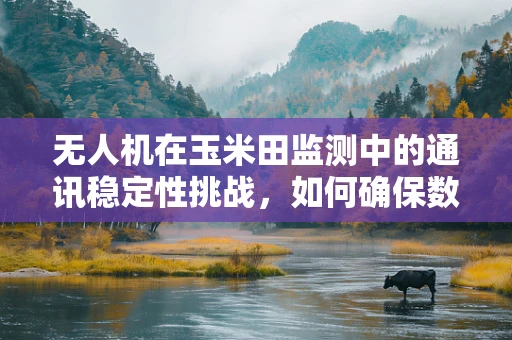 无人机在玉米田监测中的通讯稳定性挑战，如何确保数据传输的‘粒粒皆不漏’？