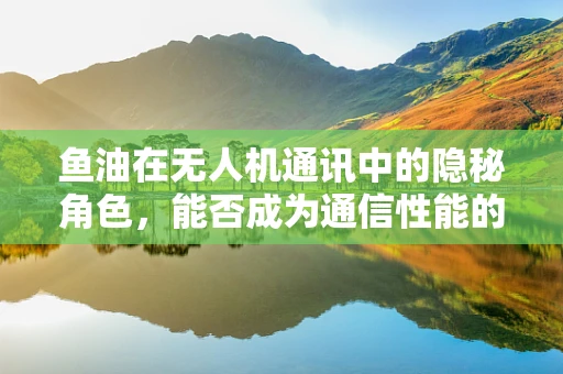 鱼油在无人机通讯中的隐秘角色，能否成为通信性能的意外提升剂？