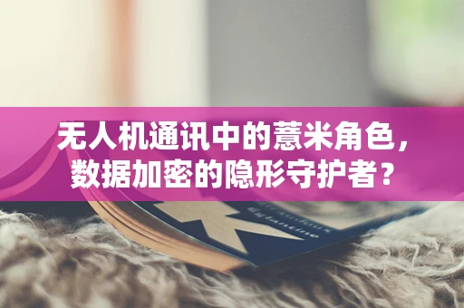 无人机通讯中的薏米角色，数据加密的隐形守护者？