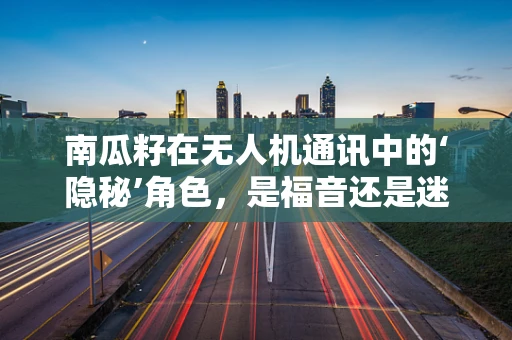 南瓜籽在无人机通讯中的‘隐秘’角色，是福音还是迷思？