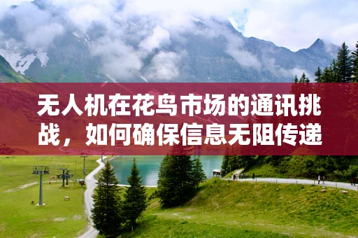 无人机在花鸟市场的通讯挑战，如何确保信息无阻传递？