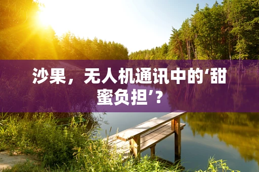 沙果，无人机通讯中的‘甜蜜负担’？