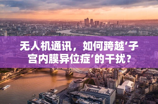 无人机通讯，如何跨越‘子宫内膜异位症’的干扰？
