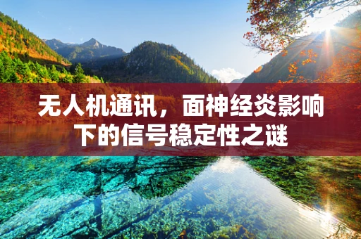 无人机通讯，面神经炎影响下的信号稳定性之谜