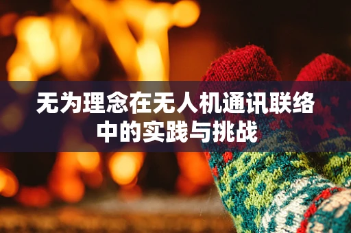 无为理念在无人机通讯联络中的实践与挑战