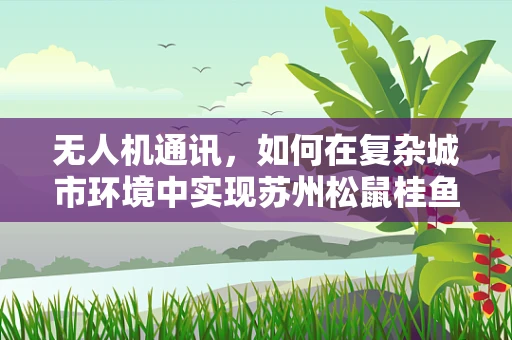 无人机通讯，如何在复杂城市环境中实现苏州松鼠桂鱼的精准定位与传输？