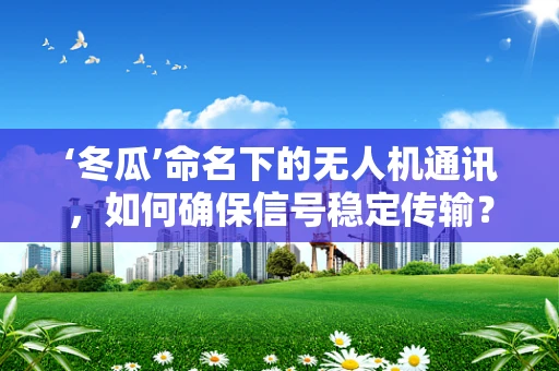 ‘冬瓜’命名下的无人机通讯，如何确保信号稳定传输？