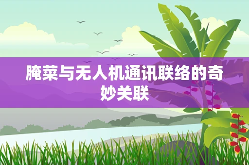 腌菜与无人机通讯联络的奇妙关联