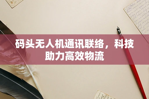 码头无人机通讯联络，科技助力高效物流