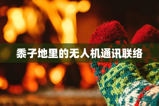 黍子地里的无人机通讯联络