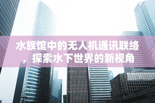 水族馆中的无人机通讯联络，探索水下世界的新视角