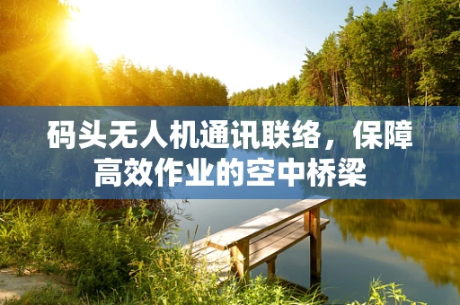 码头无人机通讯联络，保障高效作业的空中桥梁