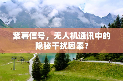 紫薯信号，无人机通讯中的隐秘干扰因素？