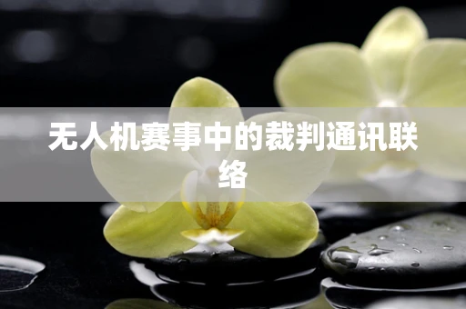 无人机赛事中的裁判通讯联络