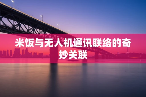 米饭与无人机通讯联络的奇妙关联