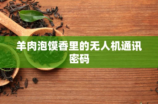 羊肉泡馍香里的无人机通讯密码