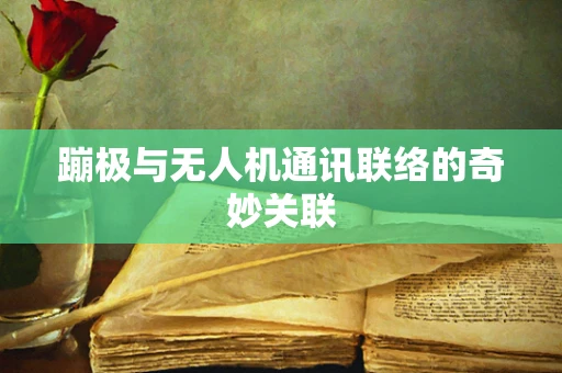 蹦极与无人机通讯联络的奇妙关联