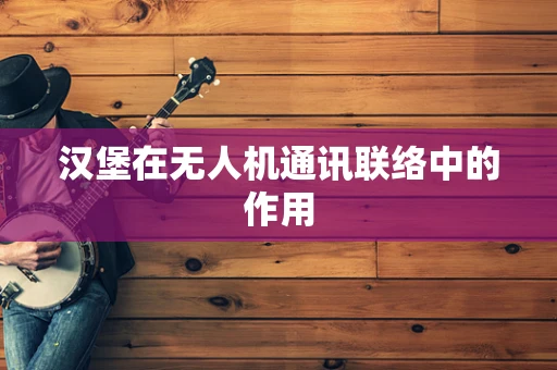 汉堡在无人机通讯联络中的作用