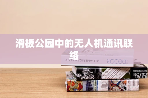 滑板公园中的无人机通讯联络
